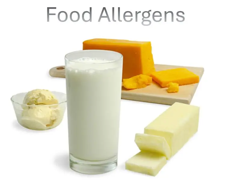 Food Allergens Dairy